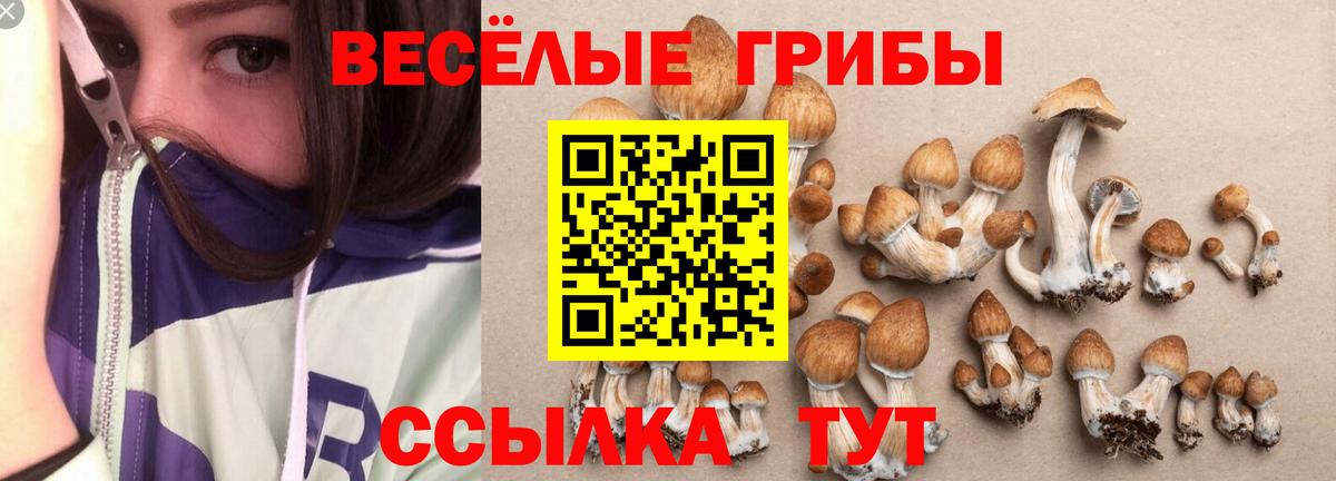 Псилоцибиновые грибы мицелий  как найти закладки  Самара  Вход с VPN 